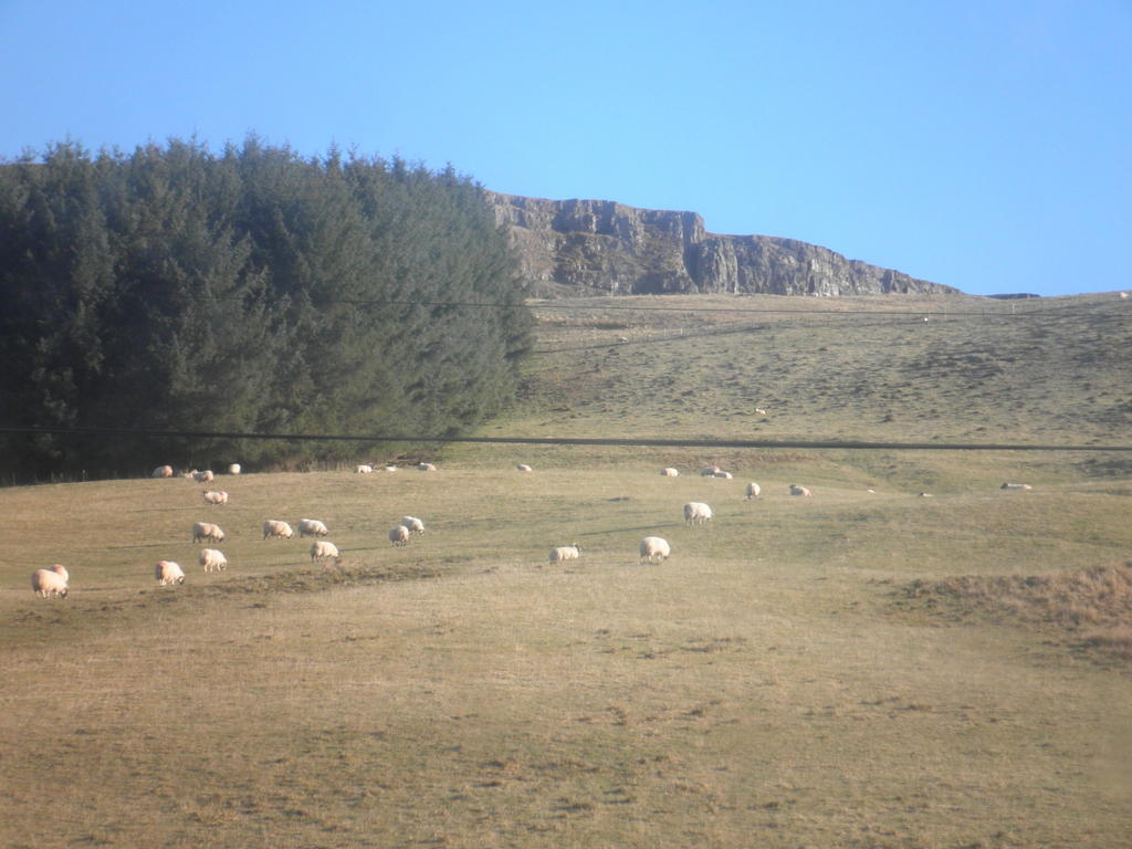 Rockfoot B&B Fintry Exteriör bild